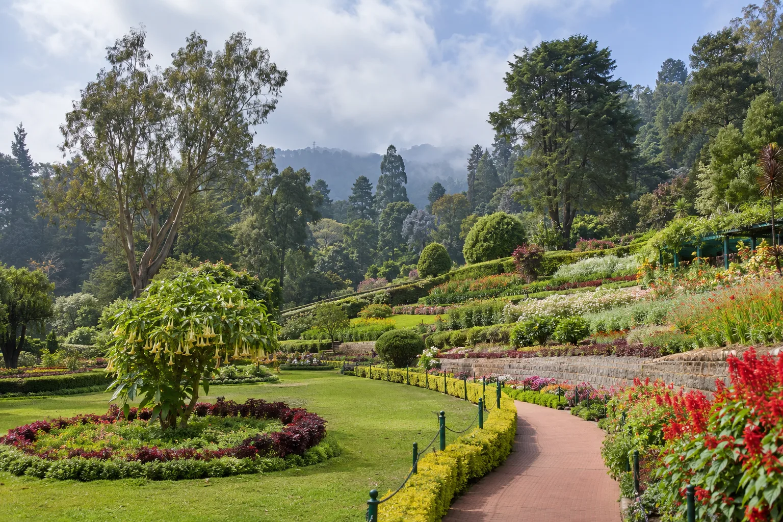 Photorealistic view of the terraced Government Botanical Garden in Ooty