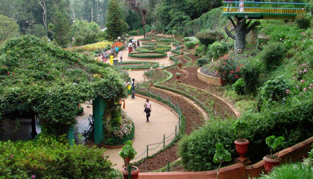 Botanical_Gardens_-_Ootacamund_(Ooty)_-_India_03